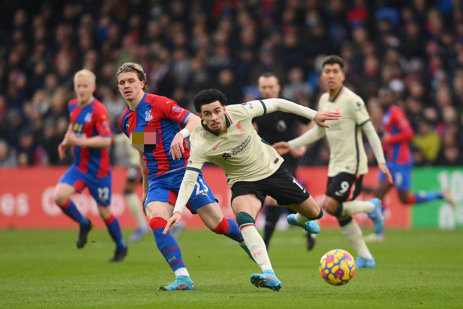 业生涯看似 业生涯看似